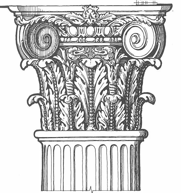 Коринфский ордер рисунок. Капитель Коринфская Филиппион. База Коринфского ордера.