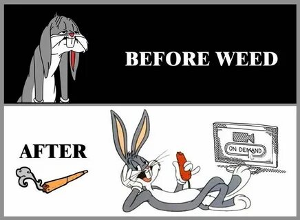 Bugs meme
