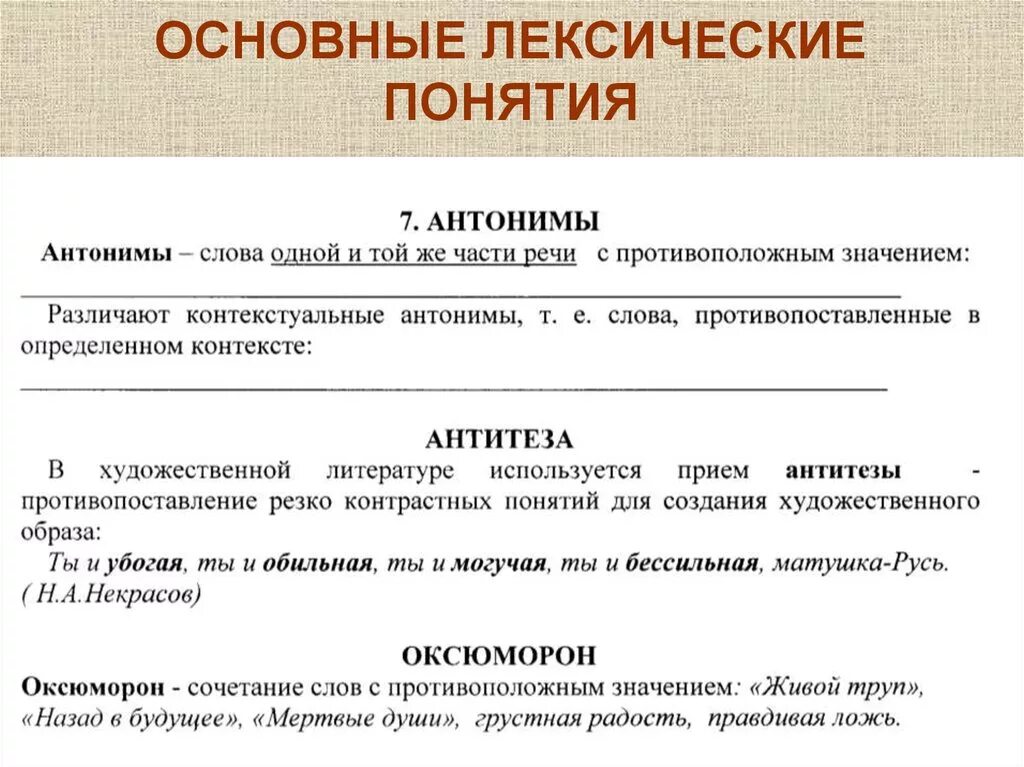 Привести примеры высокой лексики. Основные понятия лексики. Основные лексические понятия. Основные лексические термины. Основные понятия лексикологии.