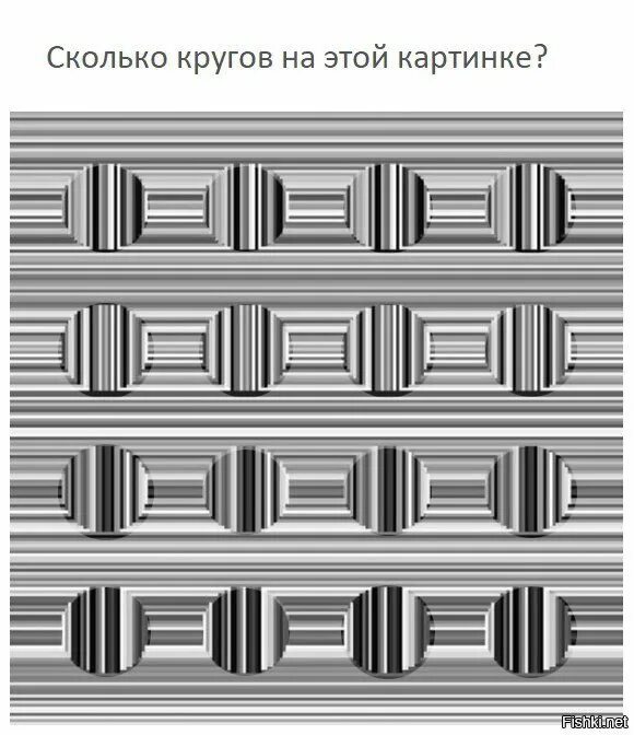 Сколько кругов. Сколько кругов на картинке. Сколько кругов вы видите на картинке. Загадка сколько кругов.