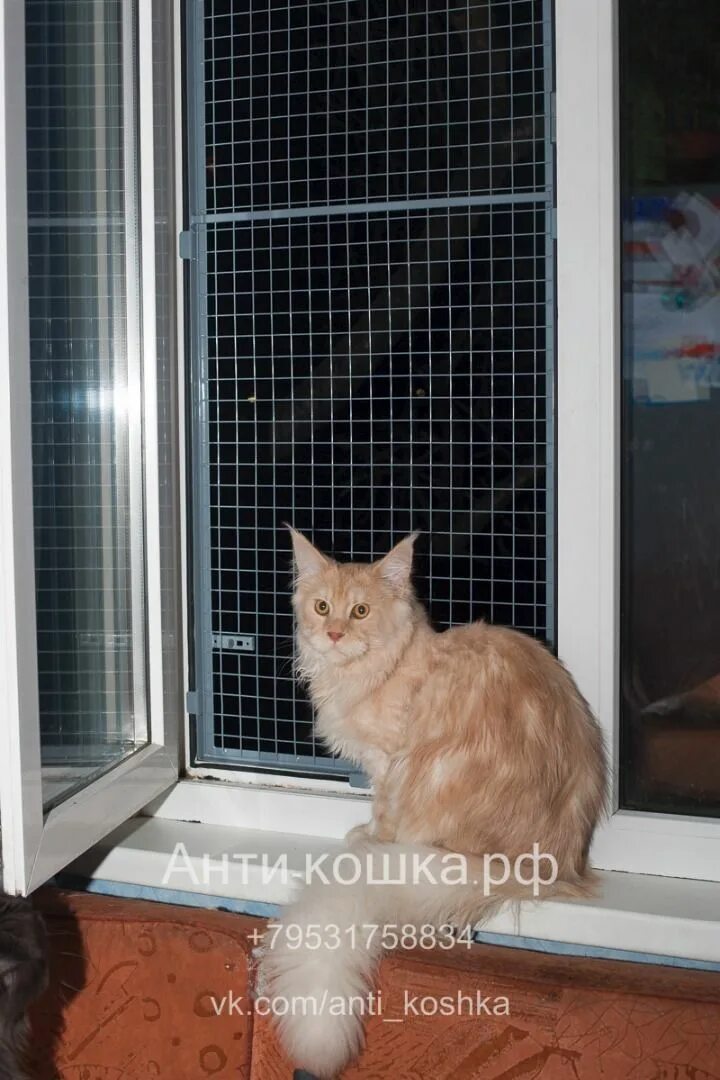 Сетка на окно для кошек антикошка купить. Решетка антикошка. Москитки антикошка. Москитка антикошка на пластиковые окна. Сетка антикошка.