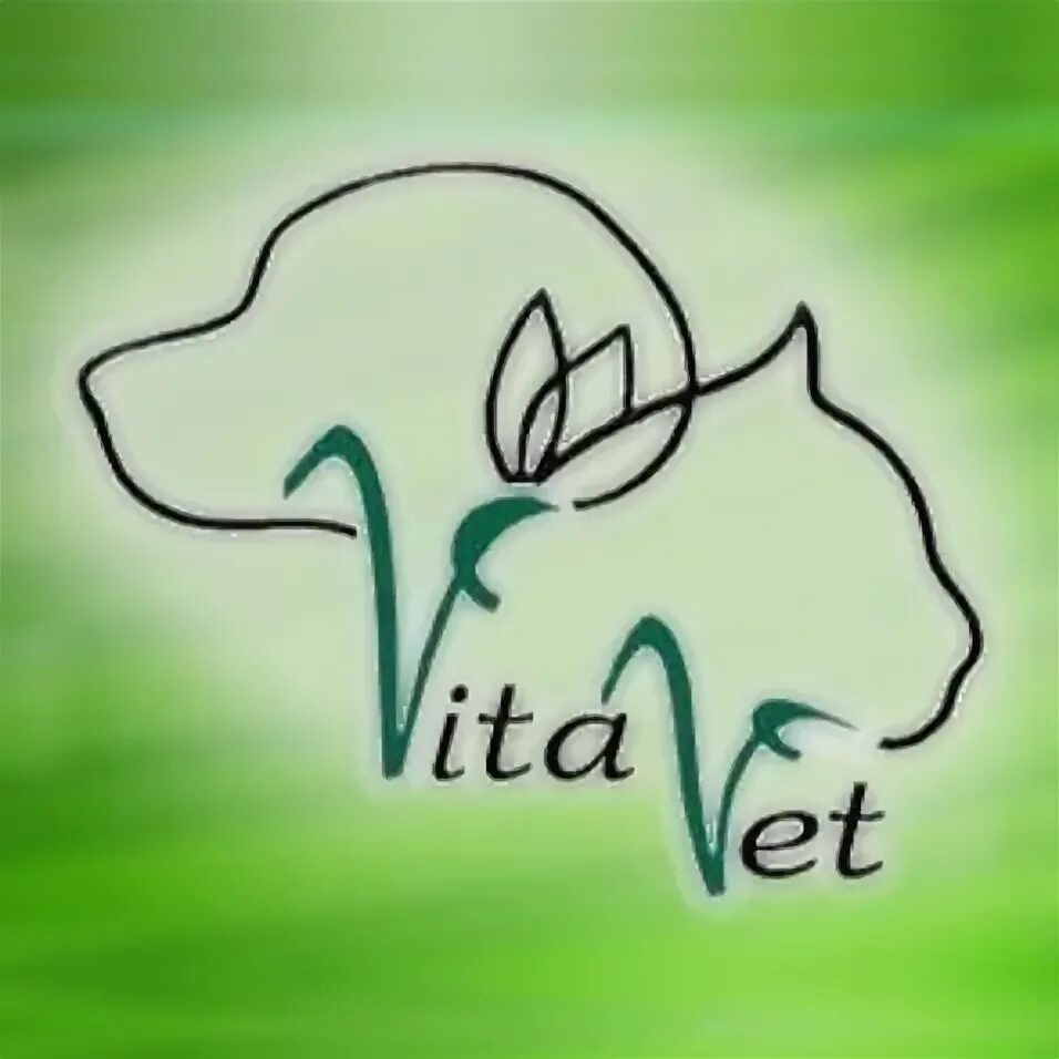 Vita vet. Логотип зоомагазина мистер гав. Витавет эмблема. Vita vet. Тата ви.
