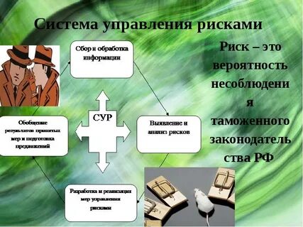 Роль системы управления рисками