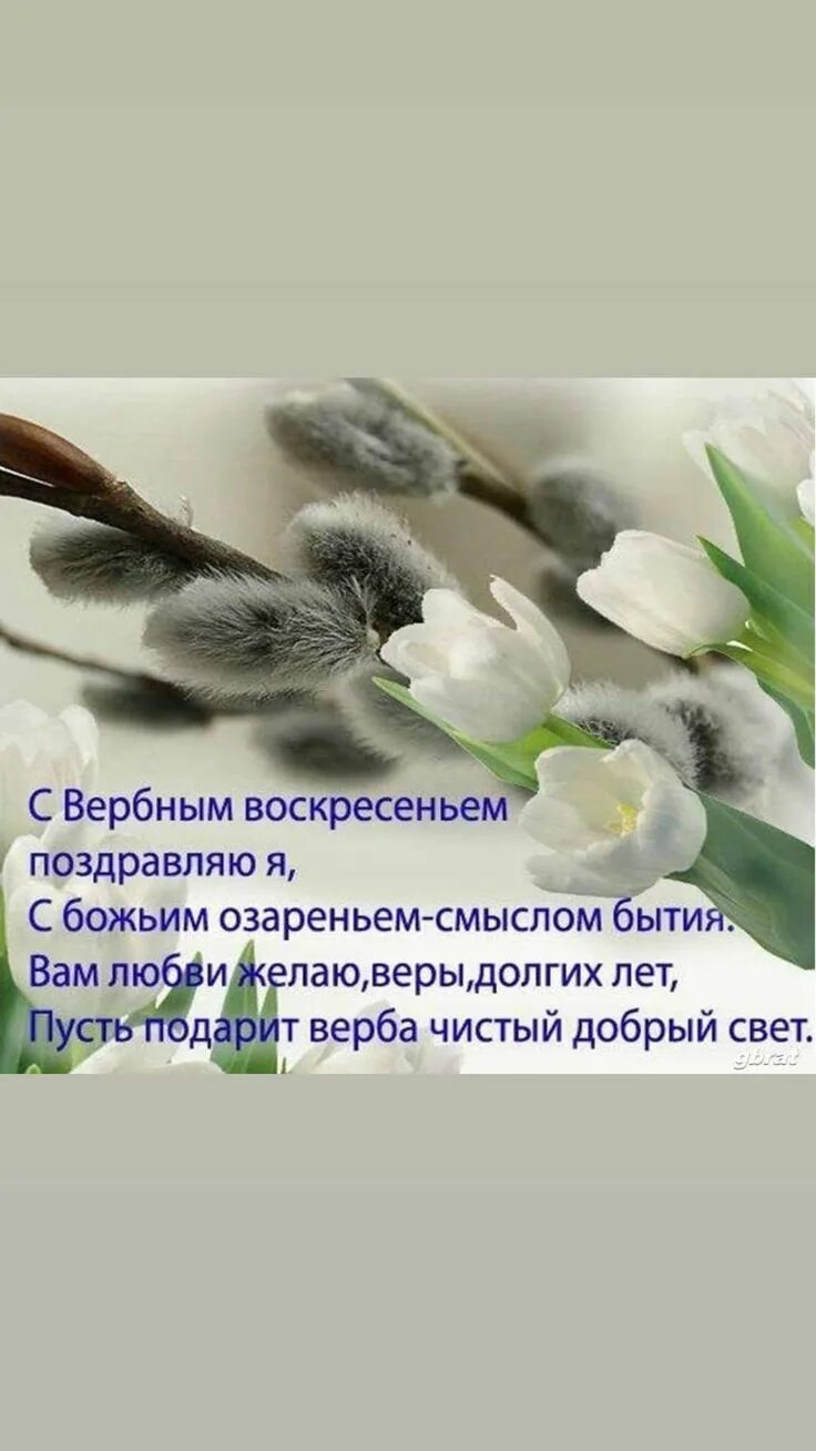 Вербы овеяны ветром нагретым. Вербное воскресенье стихи. С вербным воскресеньем открытки. Верба на вербное воскресенье. Поздравление с вербным воскресеньем.
