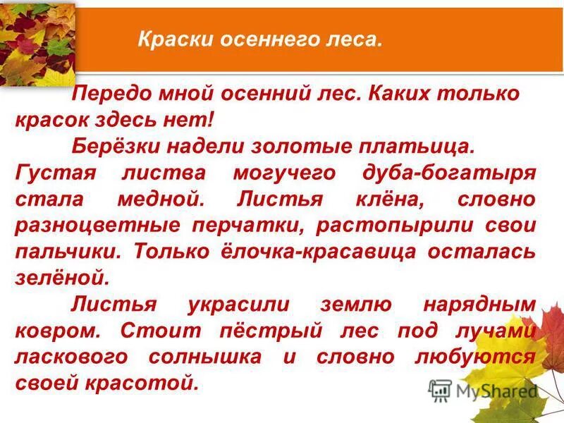 Осенний лес сочинение. Описание осени. Сочинение на тему краски осеннего леса. Сочинение краски осени.