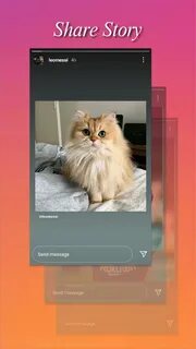 Chat post