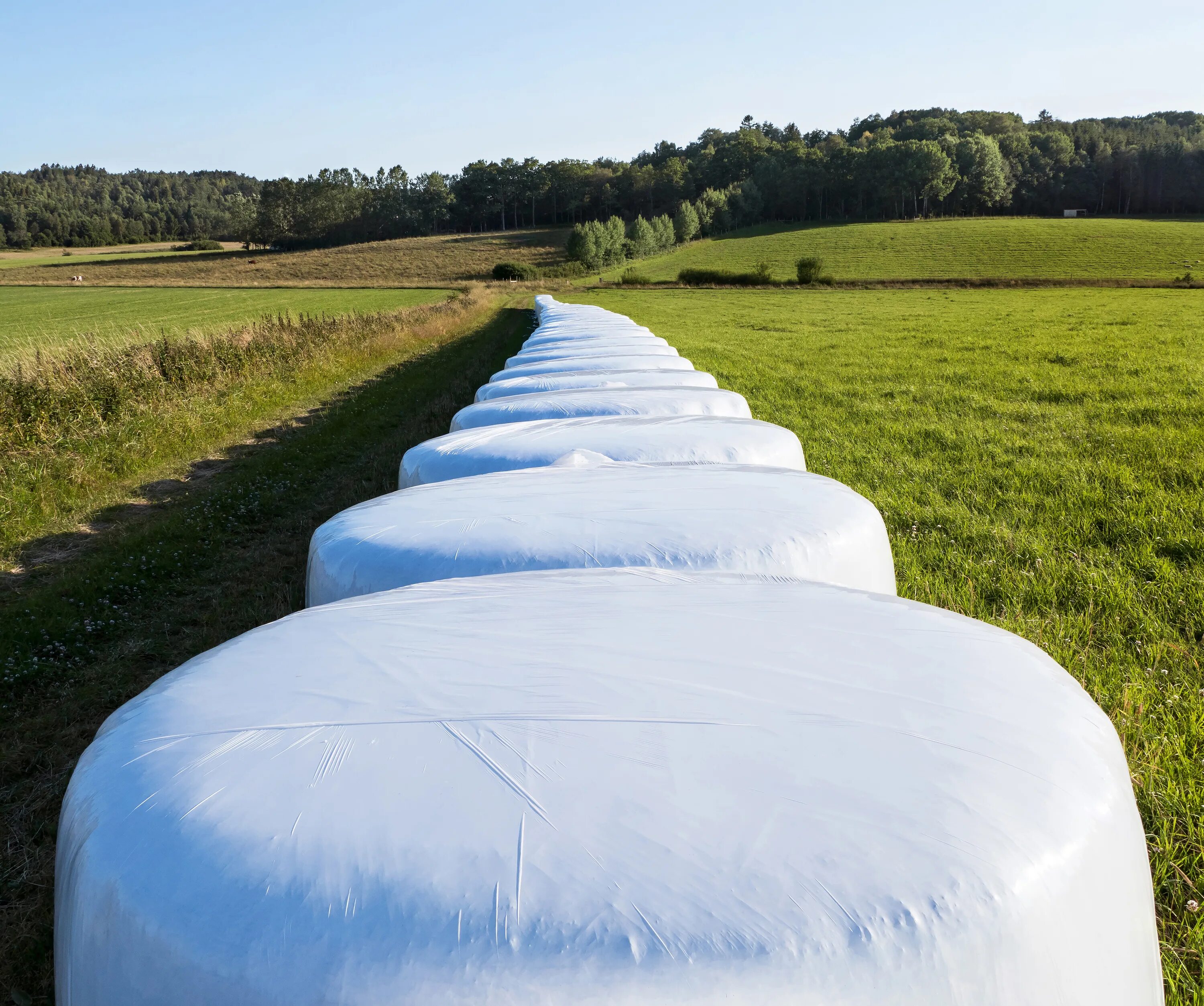 Укрывной материал белый 60. Baled Silage. Силос в Финляндии. Силоса textura. Cobertas.