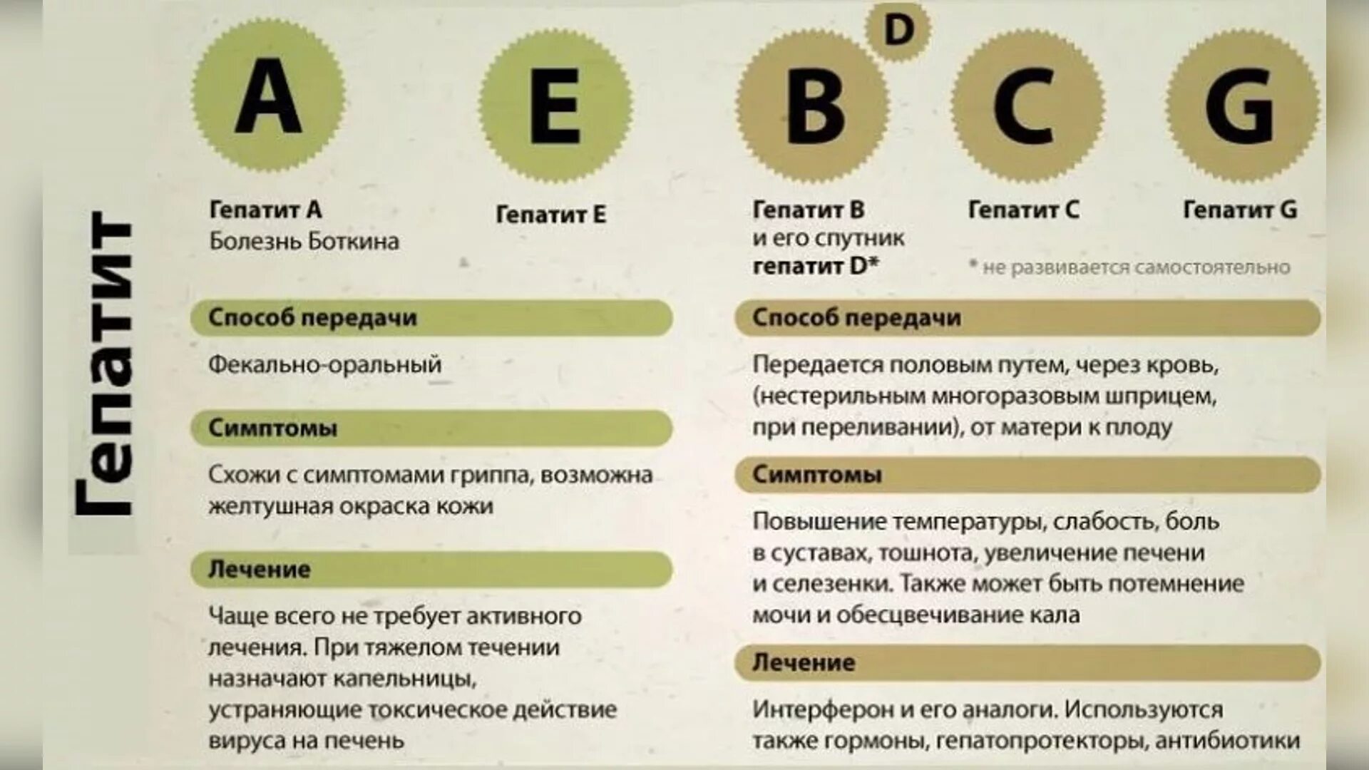 Что такое гепатит а простыми словами. Виды гепатита. Виды вирусных гепатитов.