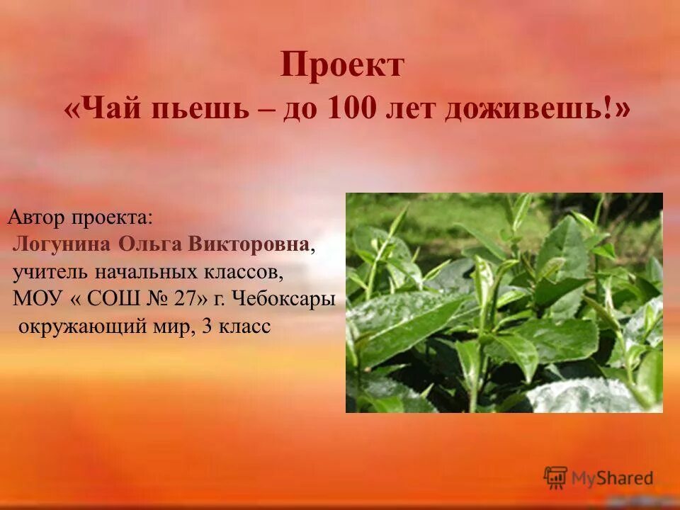 Проект чай пить здоровым быть Тогда польза