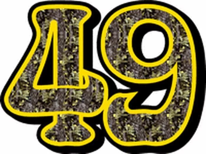 Значение 49 лет