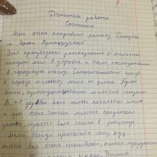 Эссе французский