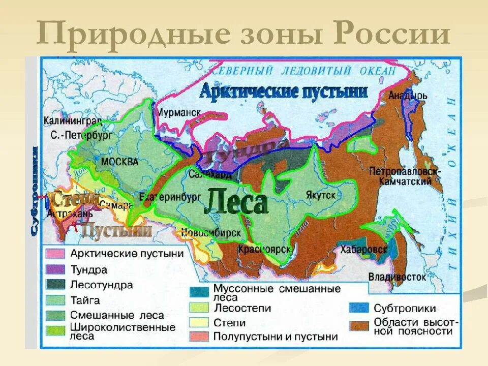 Природные зоны на территории России. Карта природных зон России. Тундра и Тайга на карте России. Крата природных зон России.