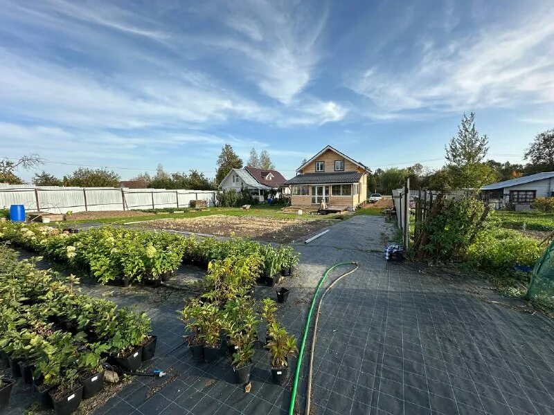 красная нива садовый центр оранжерея. домашнее платье садовод. красная нива садовый центр долгопрудный. реальный садовод. костюм с юбкой садовод.