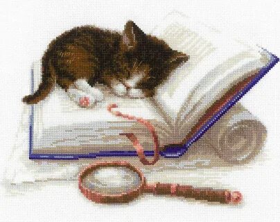 Книга читайте вышивку
