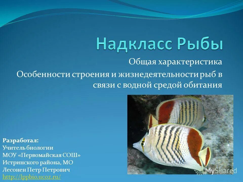 Особенности строения классов рыб. Черты внешнего строения хрящевых рыб. Пищеварительная система ук острых рыб таблица. Особенности строения классов рыб. Особенности строения классов рыб.