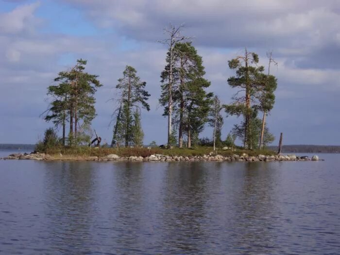 Топозеро карелия. Кумское водохранилище Карелия. Озеро Топозеро. Озеро Топозеро Пряжинский район.