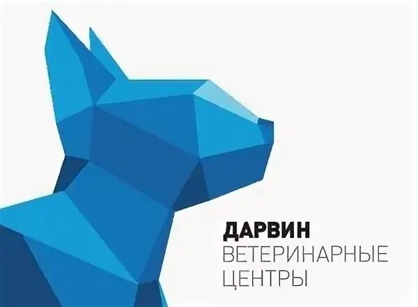 Дарвин ульяновск верхняя