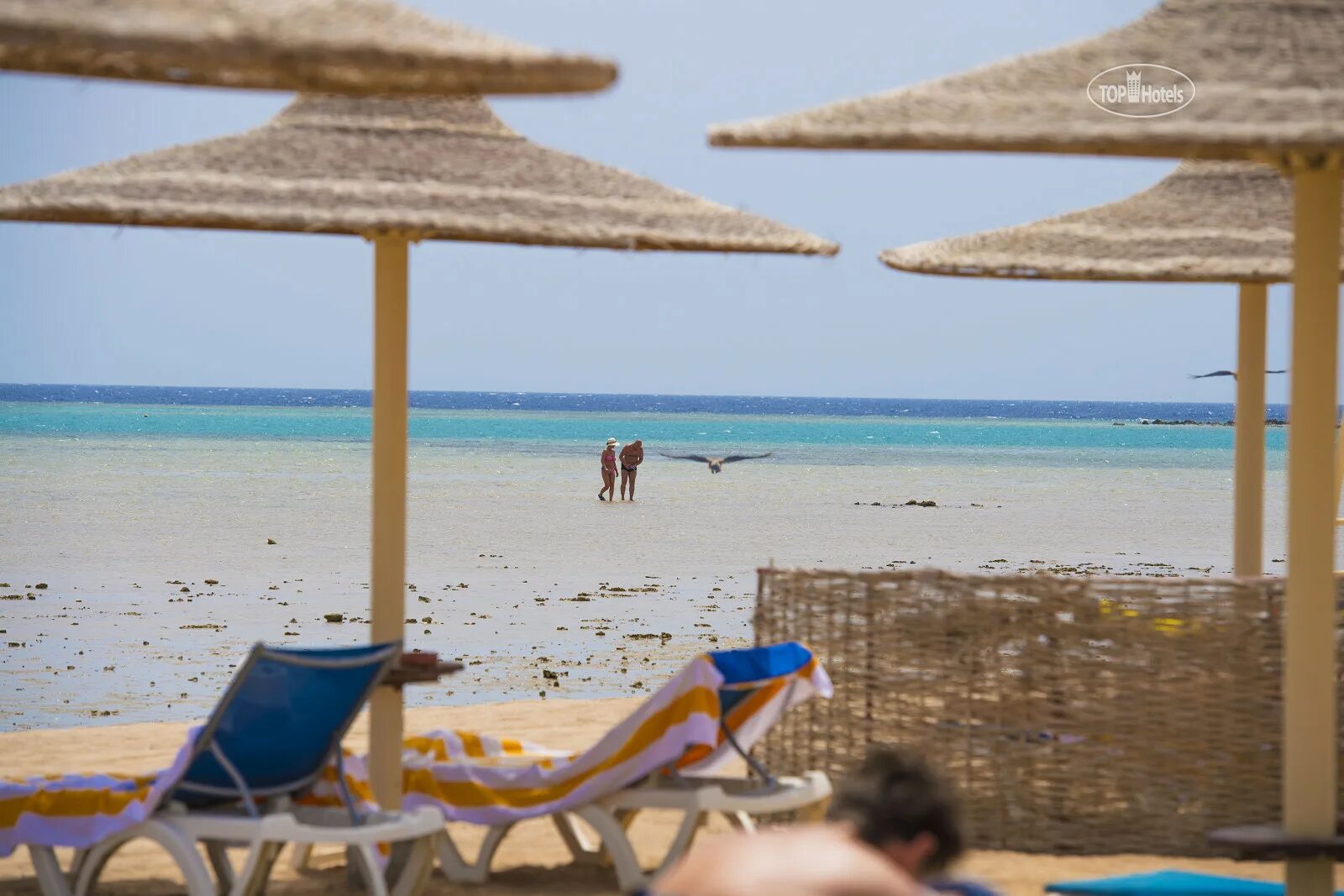 Stella beach makadi bay 5. Stella beach makadi bay 5