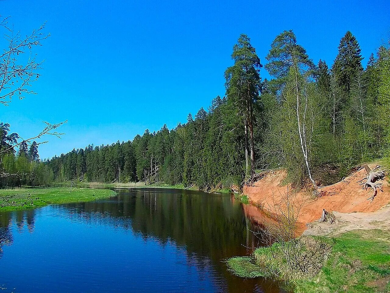 Берег реки оредеж. Берега реки оредеж. сиверская река оредеж. лялин луг сиверский. река оредеж ленинградская область.