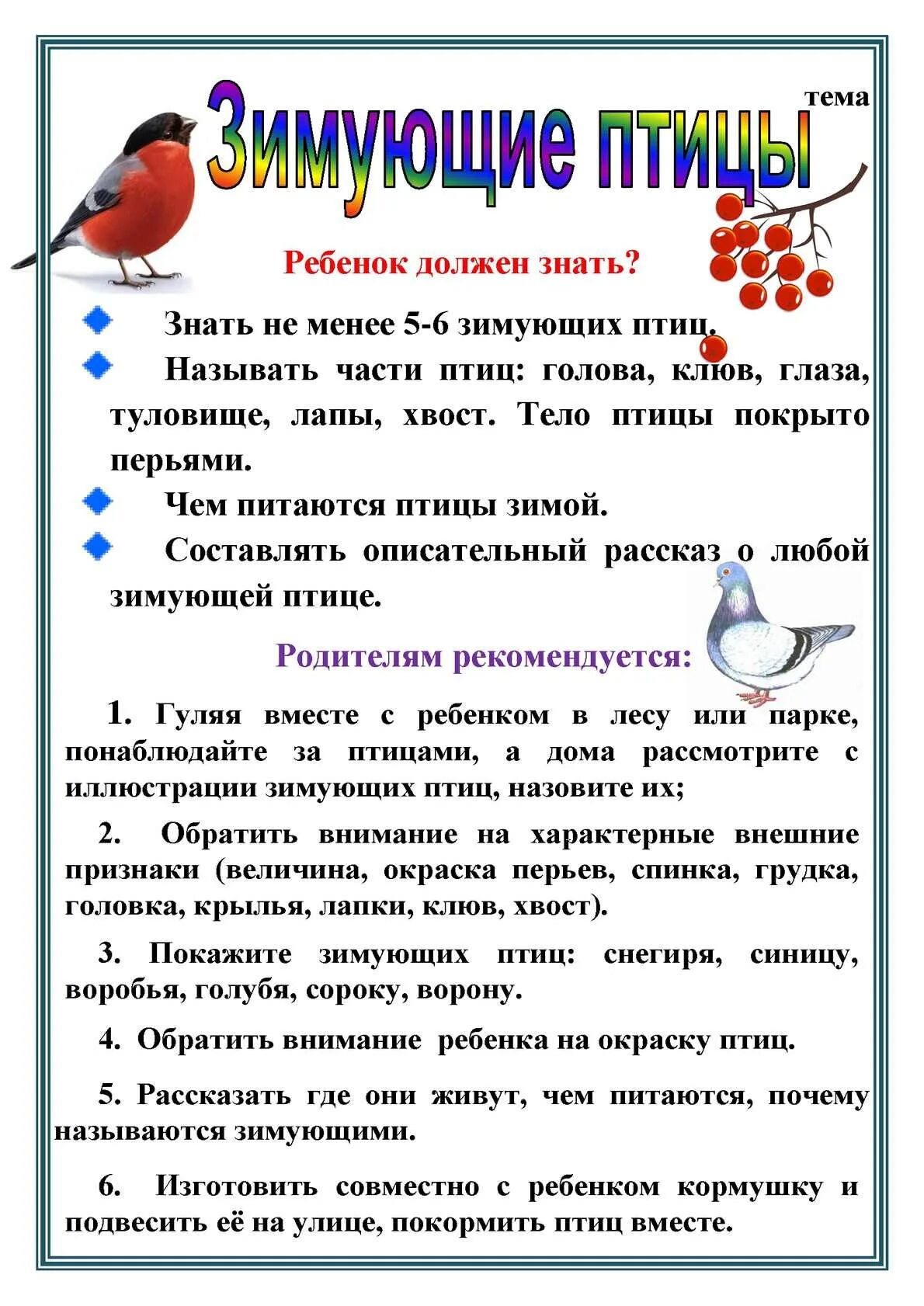 Лексическая тема зимующие птицы 2 младшая группа. Зимующие птицы рекомендации родителям. Зимующие птицы рекомендации для родителей подготовительная группа. Тема недели перелетные и зимующие птицы. Неделя птицы в 1 младшей группе