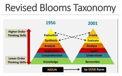 Bloom century