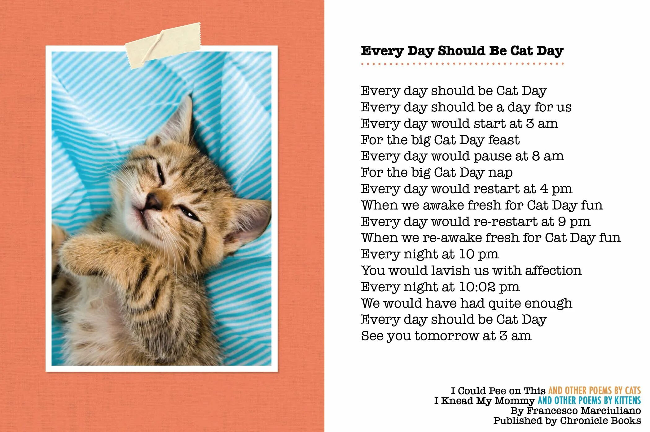 Should cat. Poems about Cats. Cats poem. Cat poem for Kids. My Cat poems.