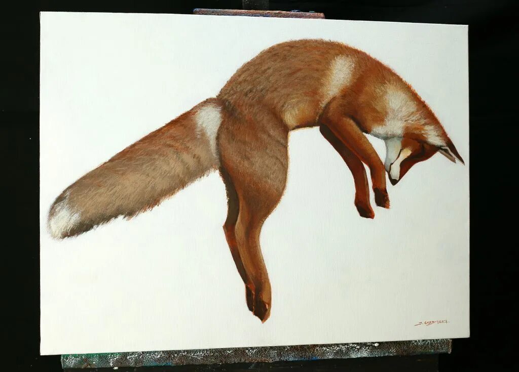 Fox action
