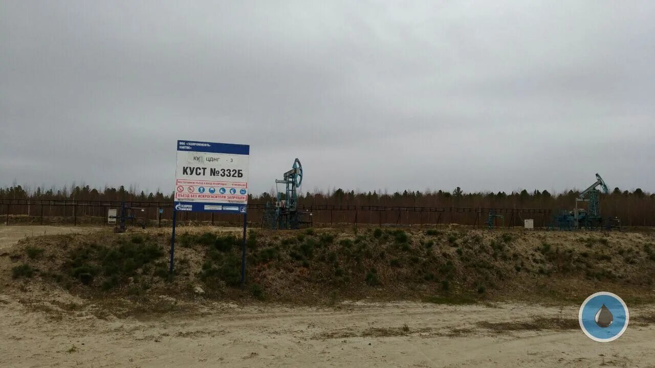 пальяновская площадь красноленинского месторождения. русское нгкм. куст скважин газпромнефть. северо-русское месторождение новатэк. пальяновское месторождение.
