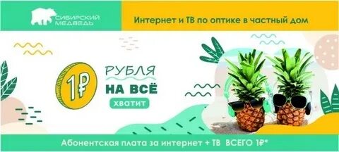 Сибирский медведь подключение интернета