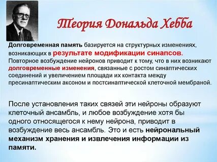 Физиология памяти