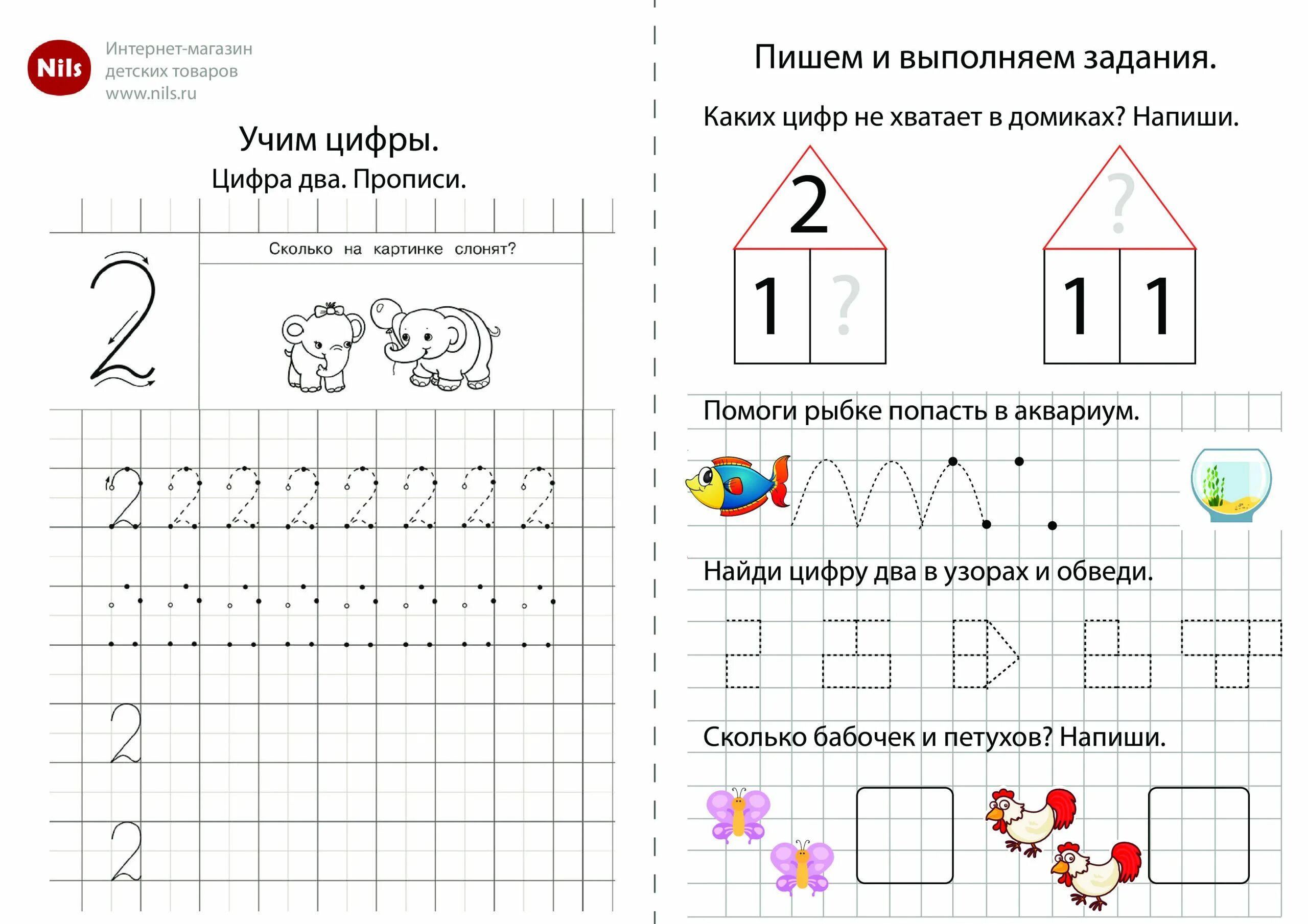 Рассматривает цифра 2. Цифра 2 для дошкольников. Изучаем цифру 2. Цифра 2 задания для дошкольников. Изучение цифры 2 с дошкольниками.