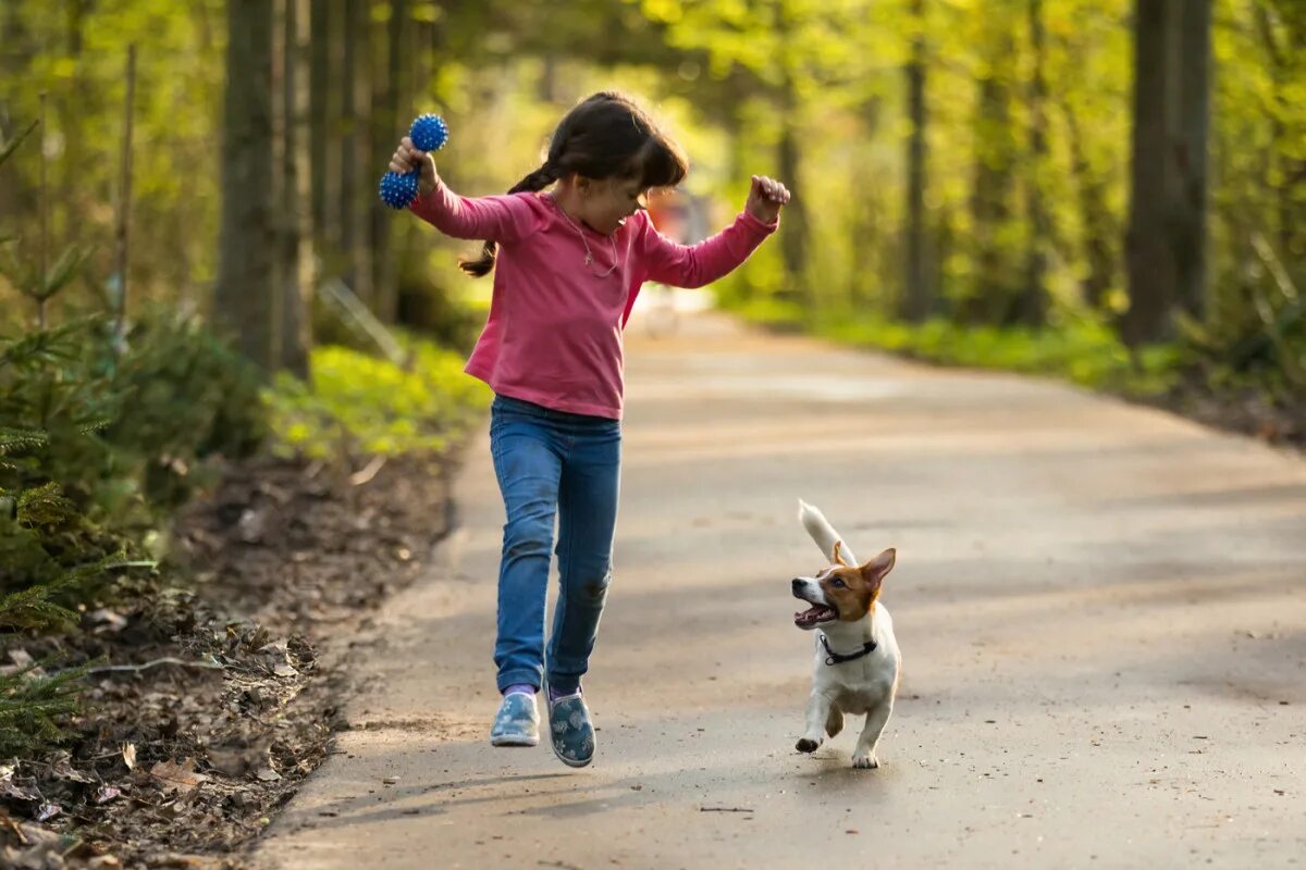 Собаки и люди на дороге. Прогулки на свежем воздухе. Люди гуляют в парке. Дети в парке. Прогулки на свежем воздухе для детей.