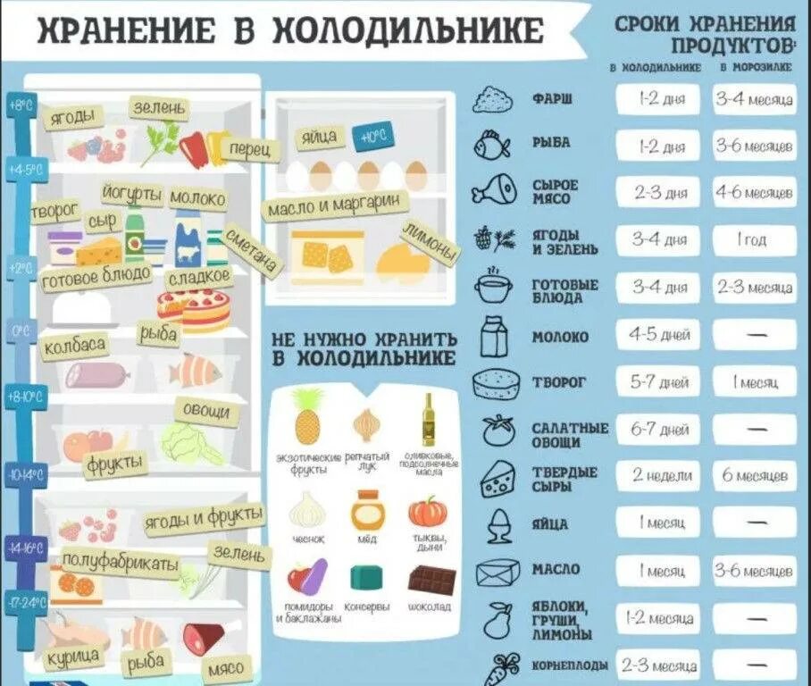 Сроки хранения продуктов в холодильнике. Хранение продуктов в холодильнике. Нормы хранения продуктов в холодильнике. Холодильник с продуктами.