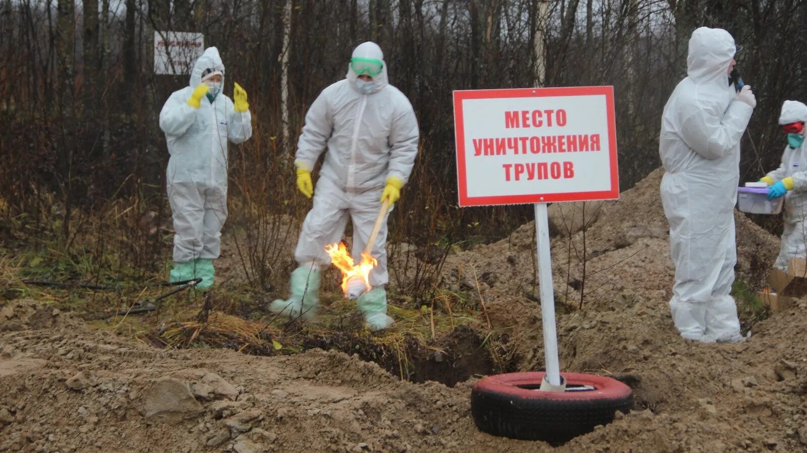 В скотомогильниках бактерии очень опасного заболевания. Уничтожение биологических отходов. Сжигание биологических отходов. Утилизация трупов животных. Сибиреязвенный скотомогильник.