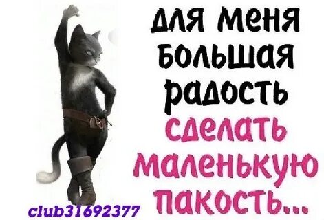 Я маленькая сволочь