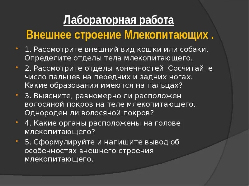 Лабораторная работа по биологии внешнее строение млекопитающих. Изучение внешнего строения млекопитающих лабораторная работа 7 класс. Задание внешнее строение млекопитающих. Лабораторная работа изучение внешнего строения млекопитающих. Исследование особенностей скелета млекопитающих.