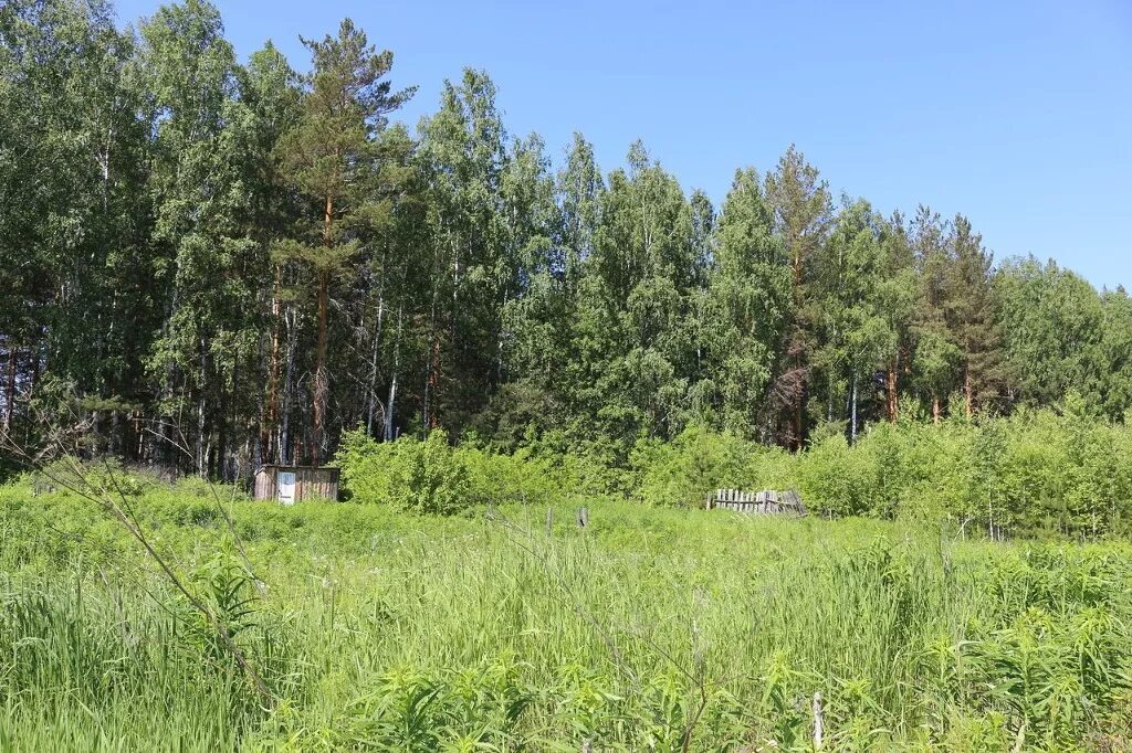 Гора гладкая сысертский район космакова. Каменка сысертский район. Земля сысертском районе. Свердловская обл. Земля сысертском районе.