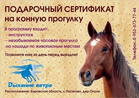Пропуска в лошади
