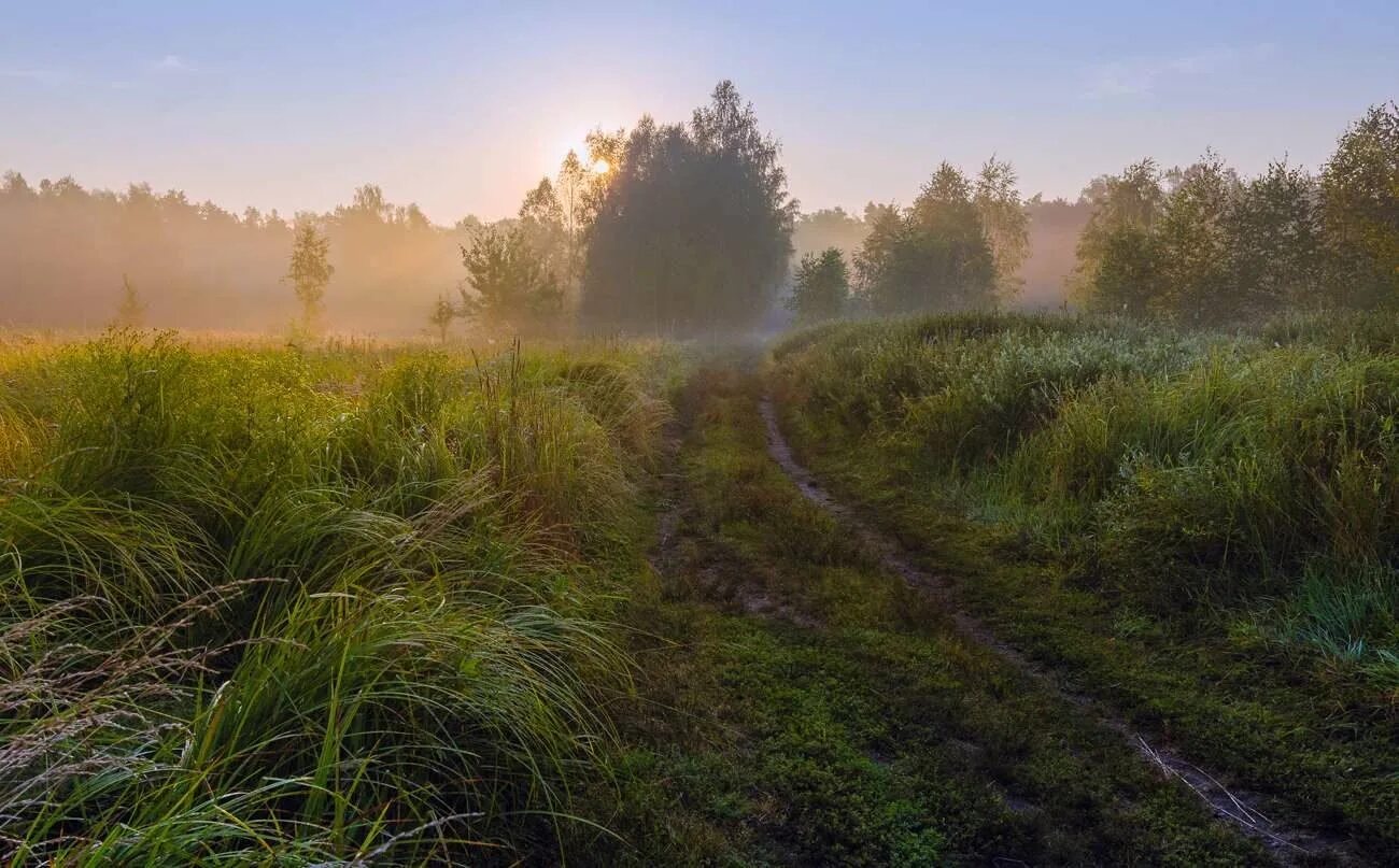 Август природа. Поздний август. Прохладное лето. Конец лета туман. Прохладное лето в россии