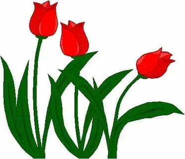 Орыс енемнің ішінде бітірдім