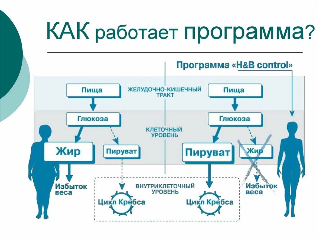 Программа будет работать