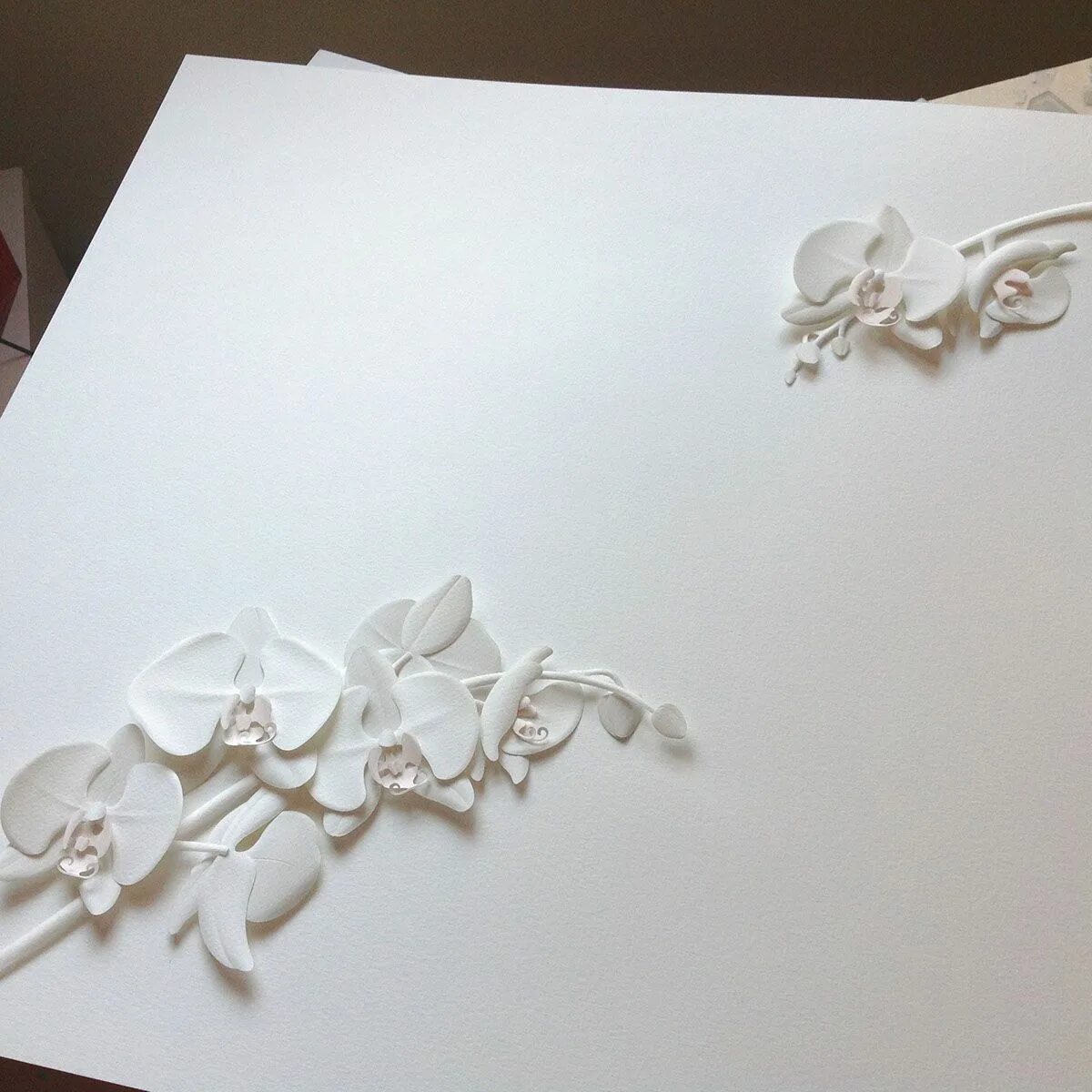 Astd paper beauty. Красота на бумаге. красивая белая бумажка с красотой. beauty papers.