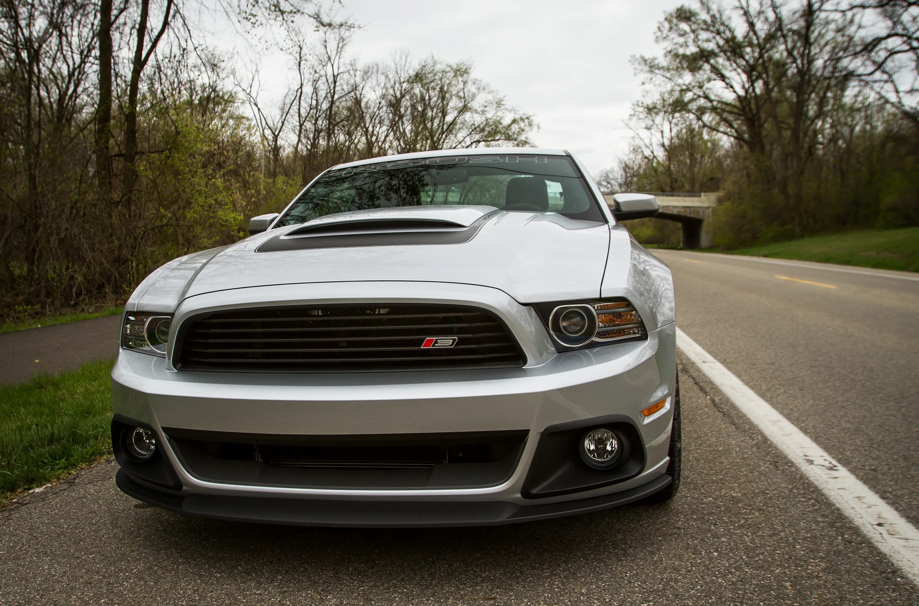 Язык мустангов. Форд Мустанг 2013. Форд Мустанг Roush. Ford Mustang 2013. Ford Мустанг 2013.