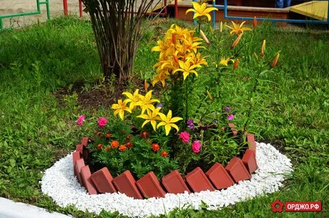 Какими цветами украшать клумбы