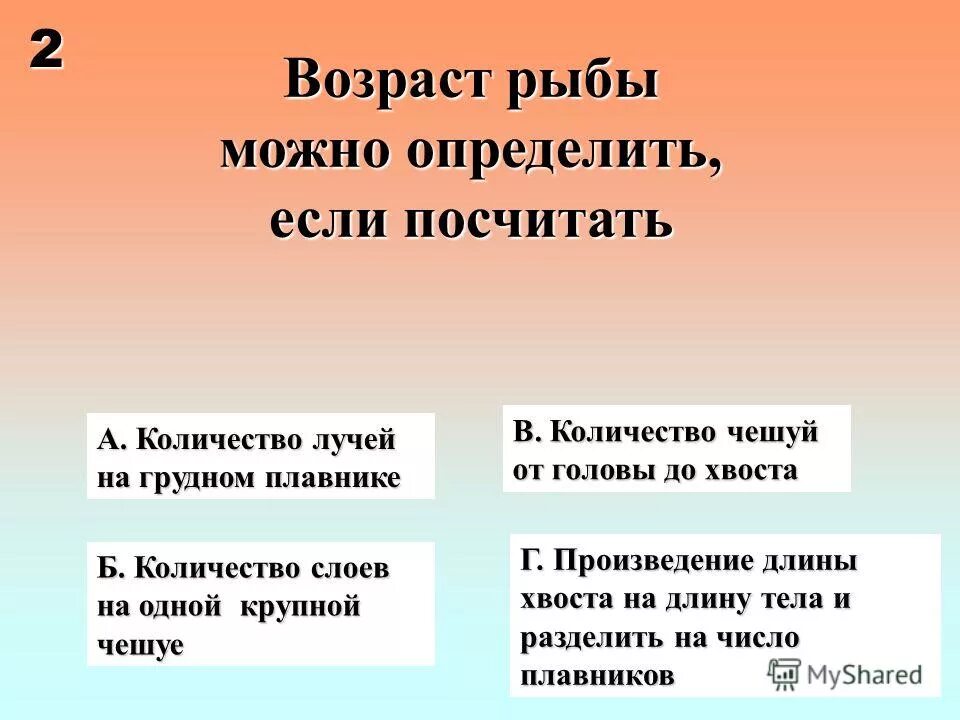 Наибольшее видовое разнообразие наблюдается в царстве