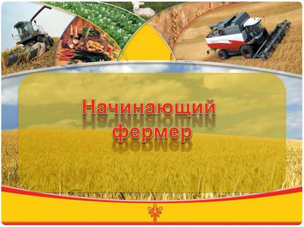 фермер вопрос. начинающий фермер. грантовая поддержка фермеров. игра начинающий фермер 2020. начинающий фермер начать.