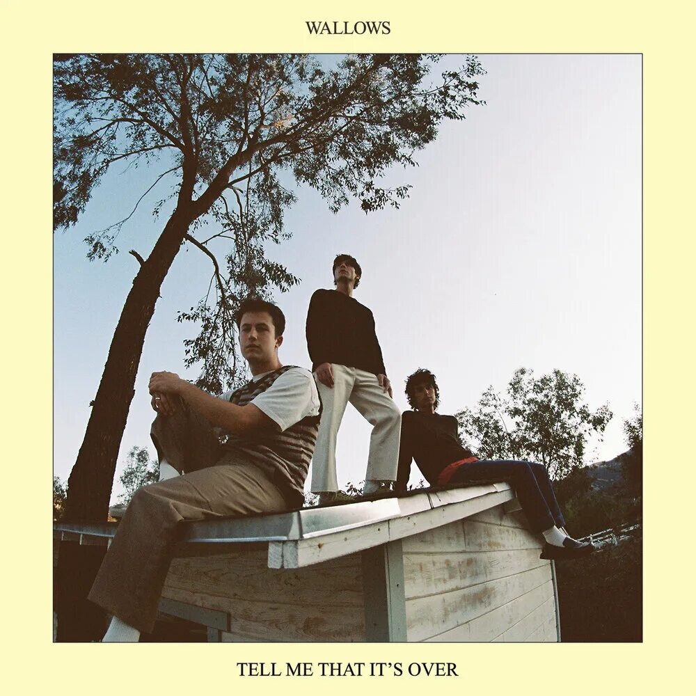 Tell me how песня. Wallows tell me that it's over album Cover. Wallows пластинки. Tell me 2022. It's over.