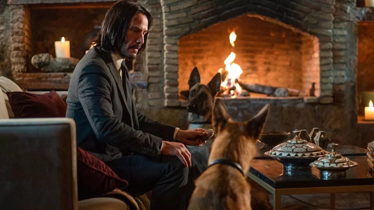 Джон уик 3 собаки. Собака из джон уик 3. Холли берри с собаками джон уик. Киану ривз джон уик с собакой. Джон уик 3 собаки.