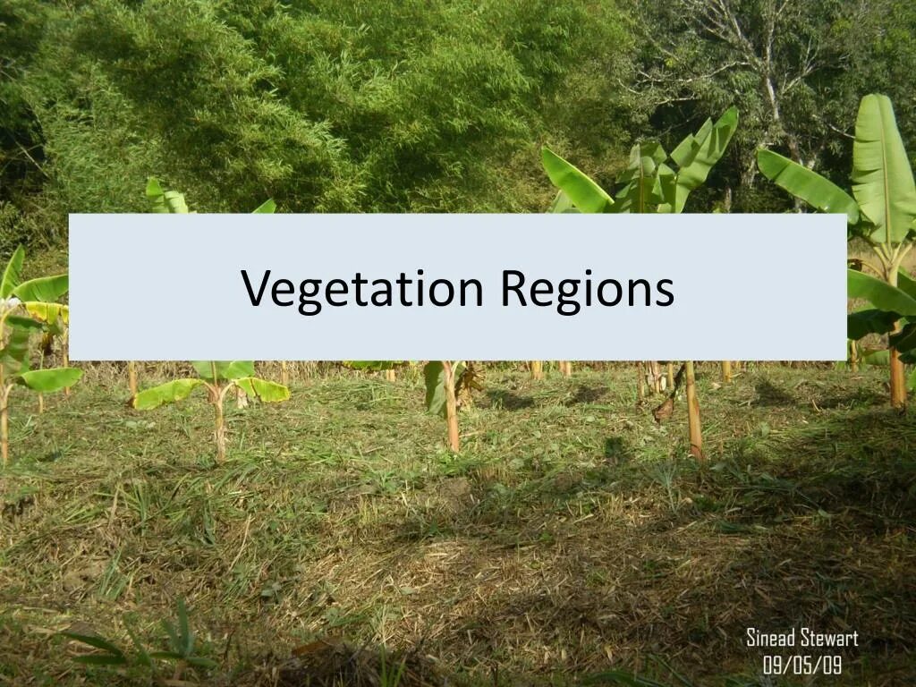 Vegetation and soils. Vegetation and wildlife in great britain. vegetation перевод. disable vegetation. sparse vegetation.