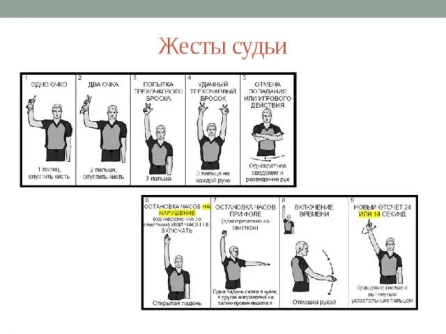 Оптимальный вариант жестикуляции это